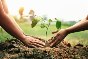 Prithvi – Planting for a Greener Tomorrow