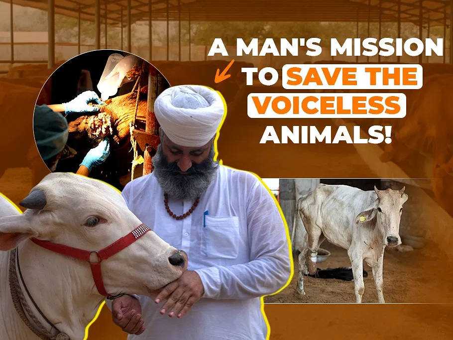 Saving Strays: Project Pashu’s Mission